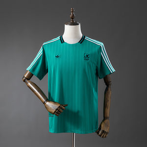 25-26 Liverpool Terrace Icons verde turquesa